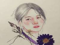 云南中视快运物流有限公司