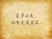 云南中视快运物流有限公司