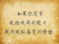 云南中视快运物流有限公司