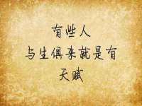 云南中视快运物流有限公司