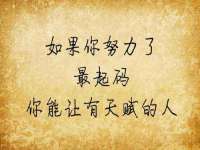 云南中视快运物流有限公司
