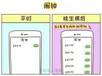 云南中视快运物流有限公司