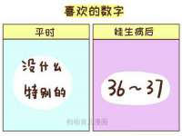 云南中视快运物流有限公司