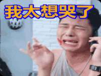 云南中视快运物流有限公司