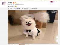 云南中视快运物流有限公司