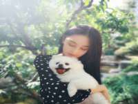 云南中视快运物流有限公司