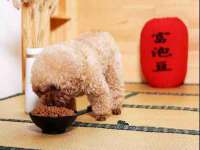 云南中视快运物流有限公司