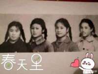云南中视快运物流有限公司