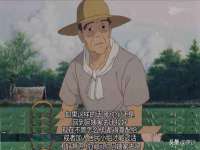 云南中视快运物流有限公司