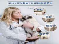 云南中视快运物流有限公司