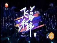 云南中视快运物流有限公司