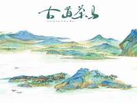 云南中视快运物流有限公司