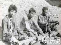 云南中视快运物流有限公司