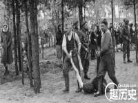 云南中视快运物流有限公司