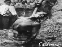 云南中视快运物流有限公司