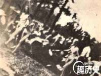 云南中视快运物流有限公司