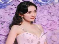 云南中视快运物流有限公司