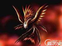 云南中视快运物流有限公司