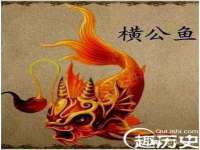 云南中视快运物流有限公司