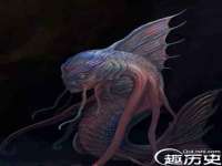 云南中视快运物流有限公司