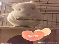 云南中视快运物流有限公司