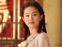 云南中视快运物流有限公司