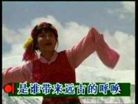 云南中视快运物流有限公司