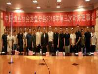 云南中视快运物流有限公司