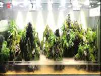 云南中视快运物流有限公司