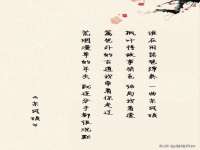 云南中视快运物流有限公司