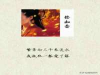 云南中视快运物流有限公司