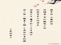 云南中视快运物流有限公司