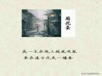云南中视快运物流有限公司