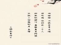云南中视快运物流有限公司