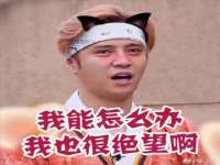 云南中视快运物流有限公司