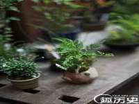 云南中视快运物流有限公司