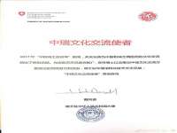 云南中视快运物流有限公司