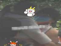 云南中视快运物流有限公司