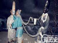 云南中视快运物流有限公司