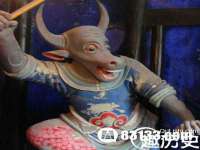 云南中视快运物流有限公司