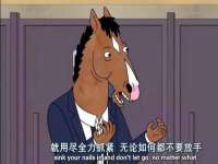云南中视快运物流有限公司