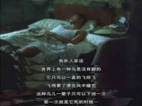 云南中视快运物流有限公司