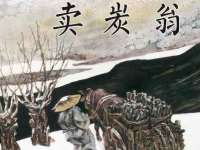 云南中视快运物流有限公司