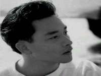 云南中视快运物流有限公司