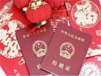 云南中视快运物流有限公司