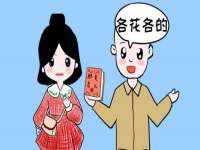 云南中视快运物流有限公司