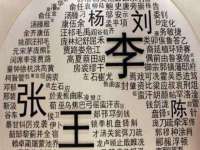 云南中视快运物流有限公司
