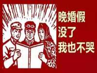 云南中视快运物流有限公司
