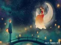 云南中视快运物流有限公司