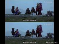 云南中视快运物流有限公司